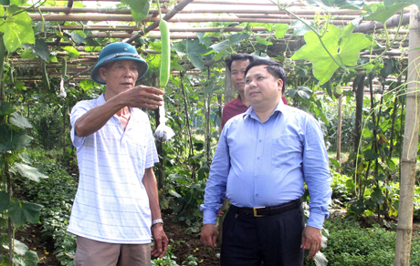 Ông Huệ (bên trái) giới thiệu về quy trình sản xuất rau an toàn của gia đình với lãnh đạo xã Văn Phú.